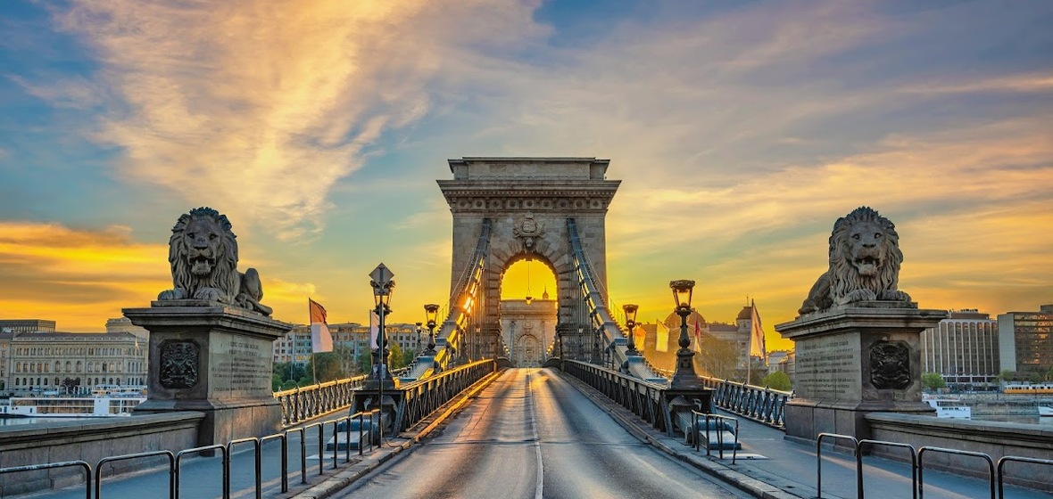 banner-image